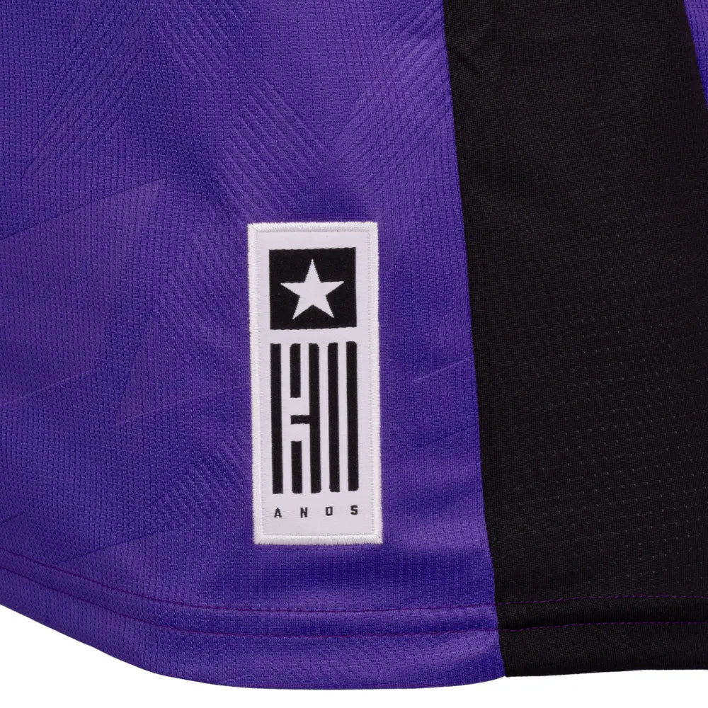 Camisa Botafogo Goleiro III 24/25 - Roxo