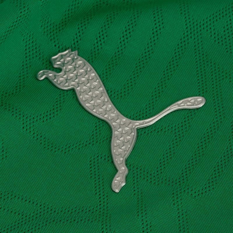 Camisa Palmeiras 25/26 Treino - Verde