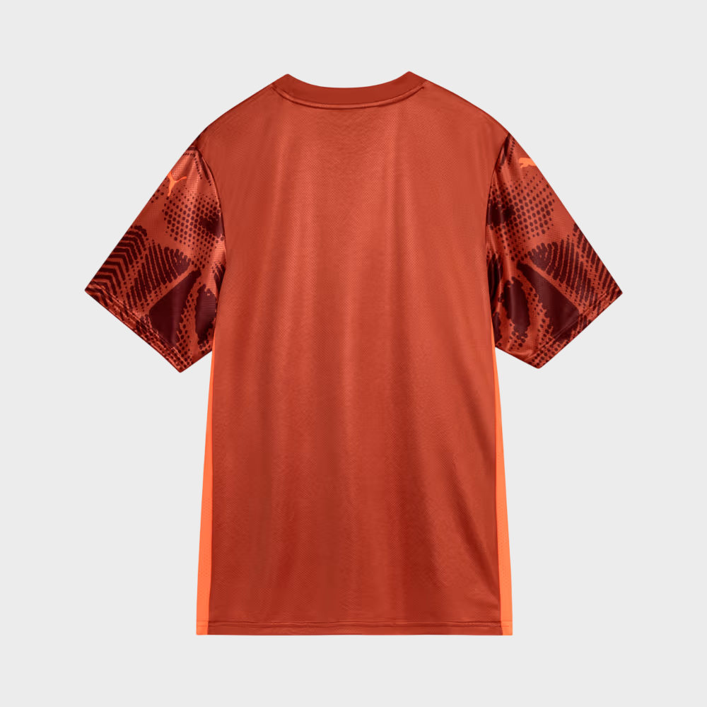 Camisa Palmeiras II Goleiro 25/26 Torcedor Puma - Vermelha