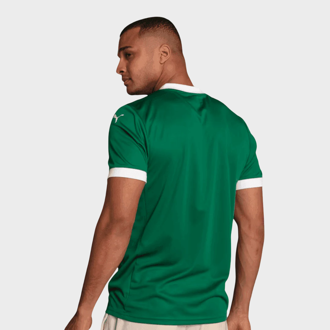 Camisa Palmeiras I 25/26 Torcedor Puma - Verde