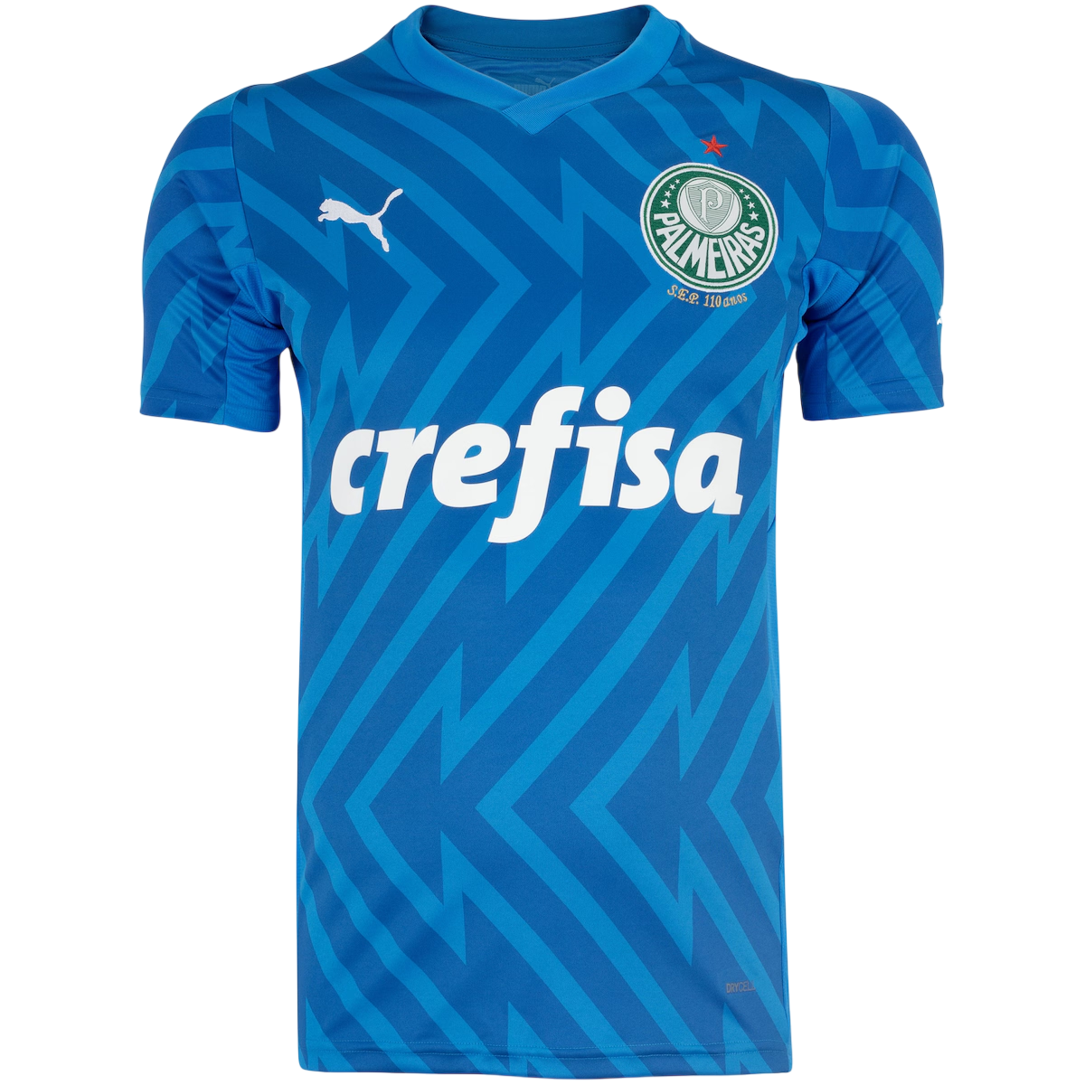 Camisa Palmeiras Goleiro I 24/25 - Azul