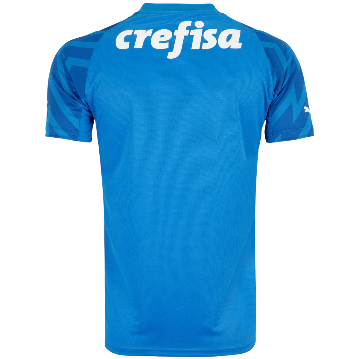 Camisa Palmeiras Goleiro I 24/25 - Azul