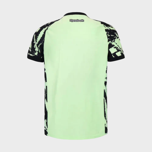 Camisa Botafogo Goleiro 25/26 - Verde