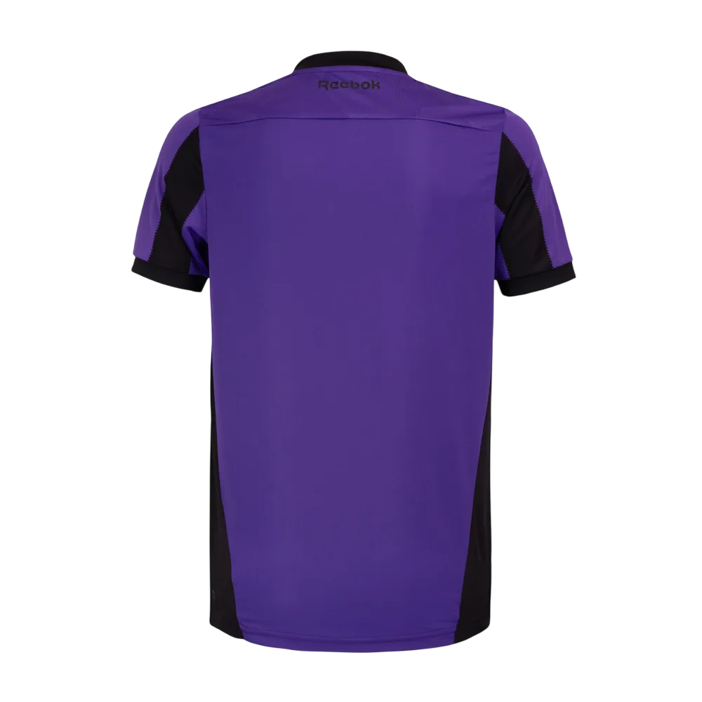 Camisa Botafogo Goleiro III 24/25 - Roxo