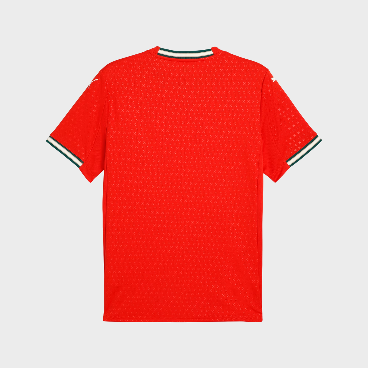 Camisa Portugal I 25/26 - Torcedor Puma Masculina - Vermelha