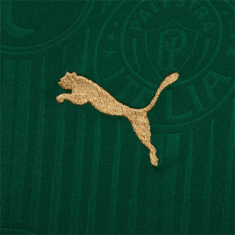 Camisa Palmeiras Home 24/25 - Torcedor Puma Masculino - Verde
